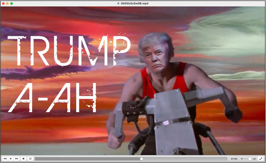 Figure 11-1: A screenshot from a pro-Trump Parler video showing an altered image of Trump riding a motorcycle