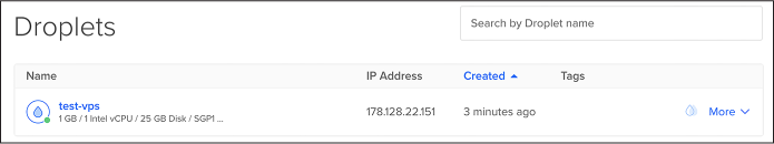 Figure 4-4: My test-vps IP address